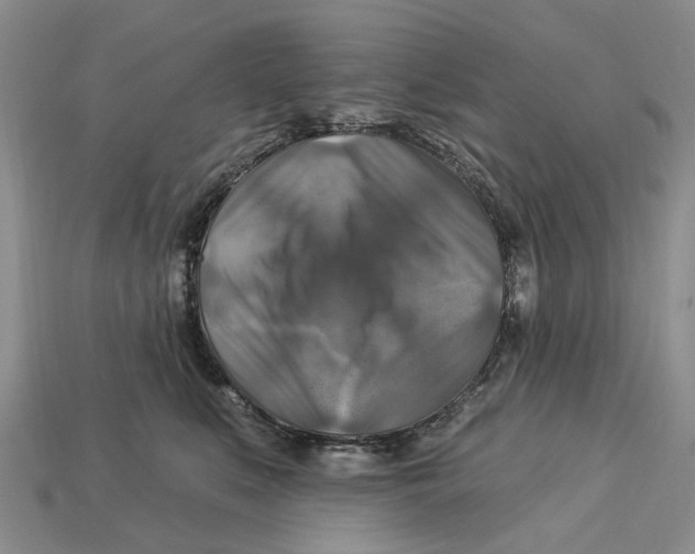 X0000113050519200909241458