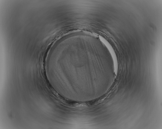 X0000113050520200909241458