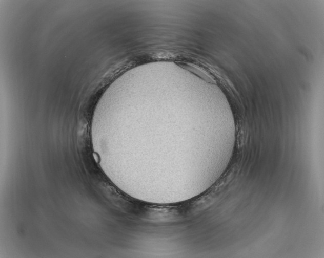 X0000113050521200909241458
