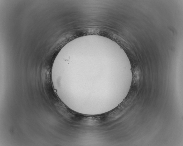 X0000113050522200909241458
