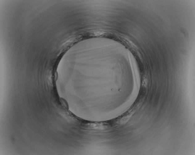 X0000113050524200909241458