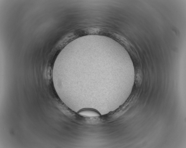 X0000113050525200909241458
