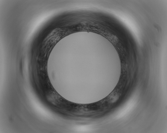 X0000113050526200909241458