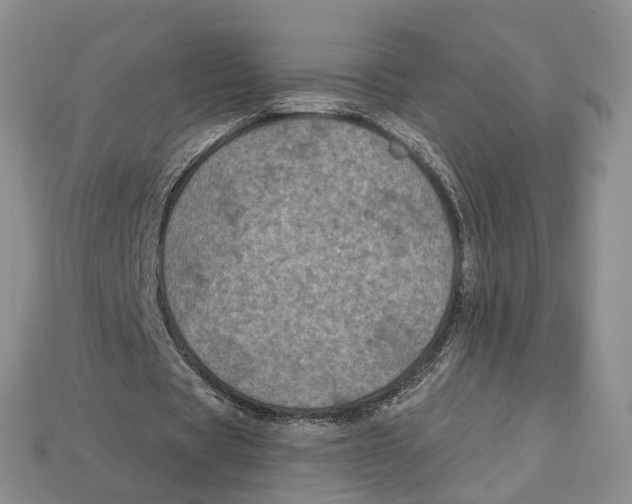 X0000113050529200909241457