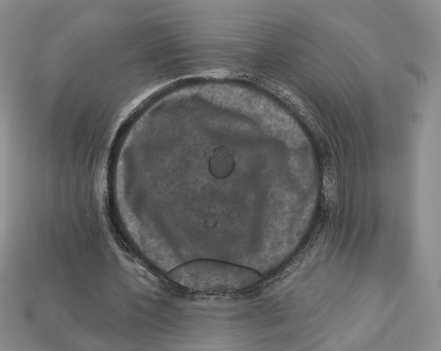 X0000113050532200909241457