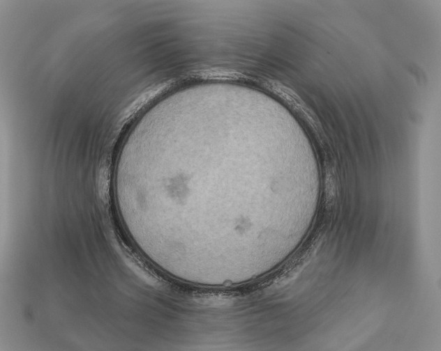 X0000113050533200909241457