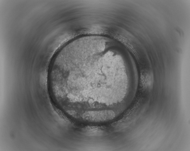X0000113050534200909241457