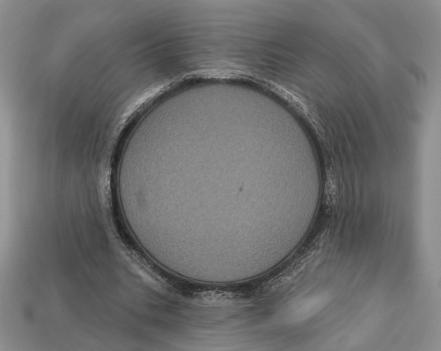 X0000113050535200909241457