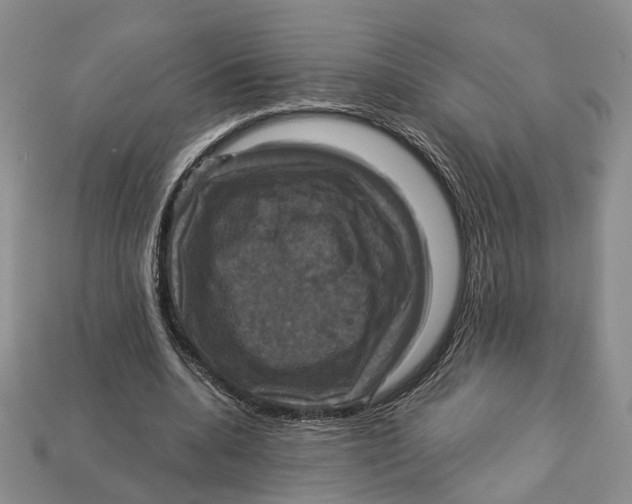 X0000113050536200909241457