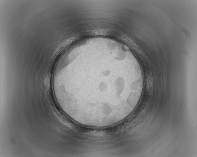 X0000113050537200909241457