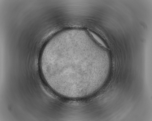 X0000113050538200909241457