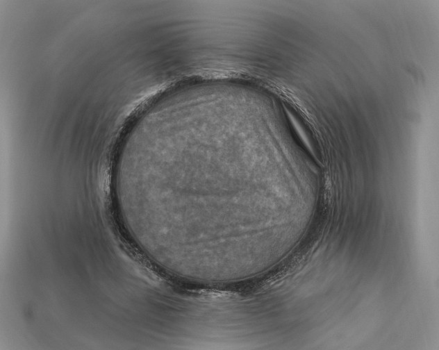 X0000113050539200909241457