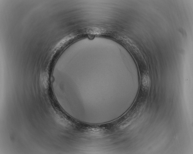 X0000113050540200909241457