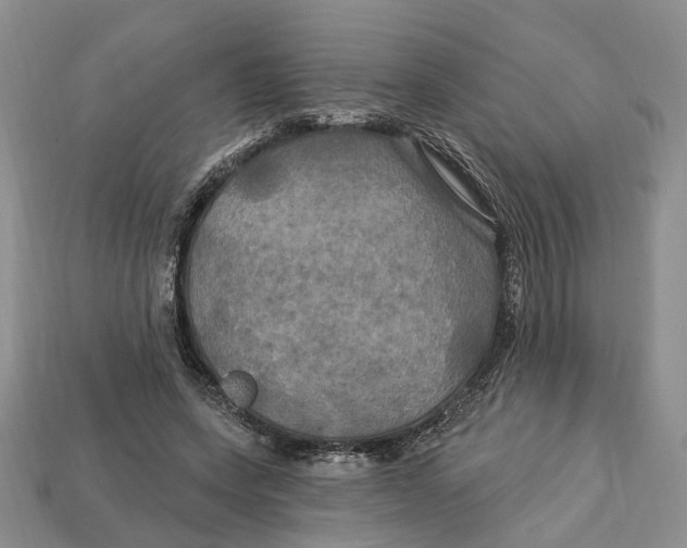 X0000113050543200909241457