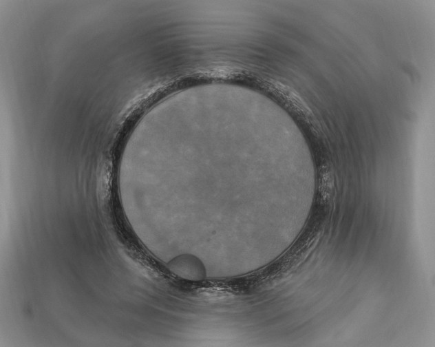 X0000113050544200909241457