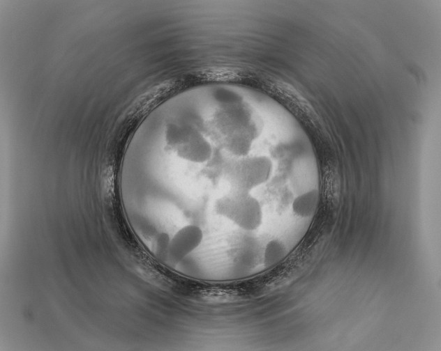 X0000113050549200909241457