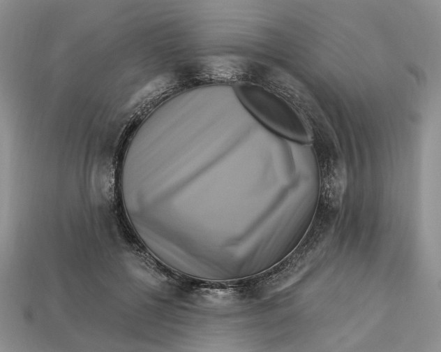 X0000113050552200909241457