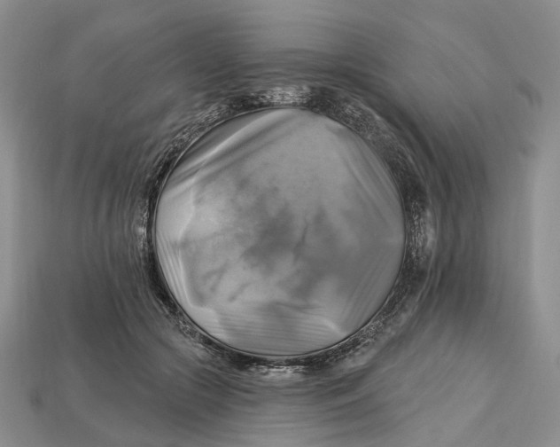 X0000113050553200909241457