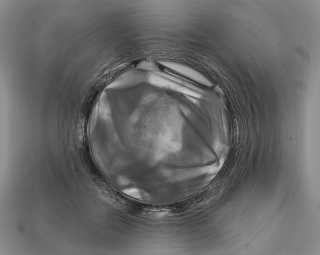 X0000113050554200909241457