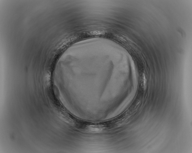 X0000113050556200909241457