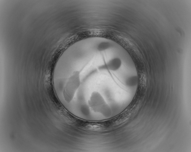X0000113050557200909241457