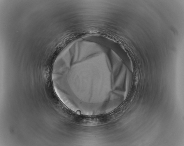 X0000113050559200909241457