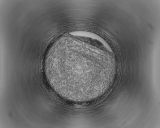 X0000113050560200909241457