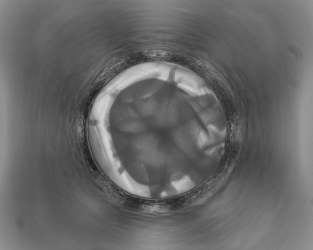 X0000113050561200909241457