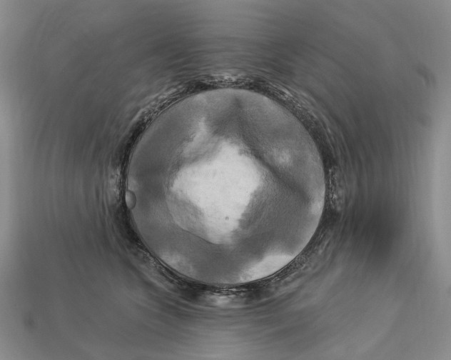 X0000113050563200909241457