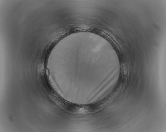 X0000113050564200909241457