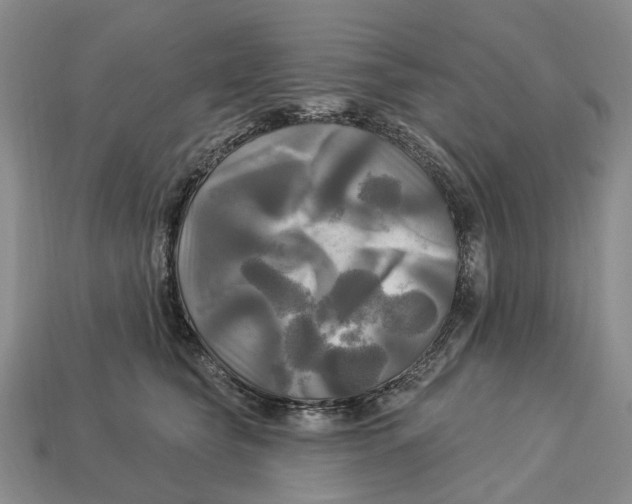 X0000113050565200909241457