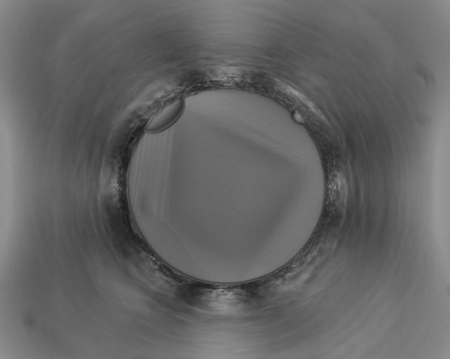 X0000113050566200909241457