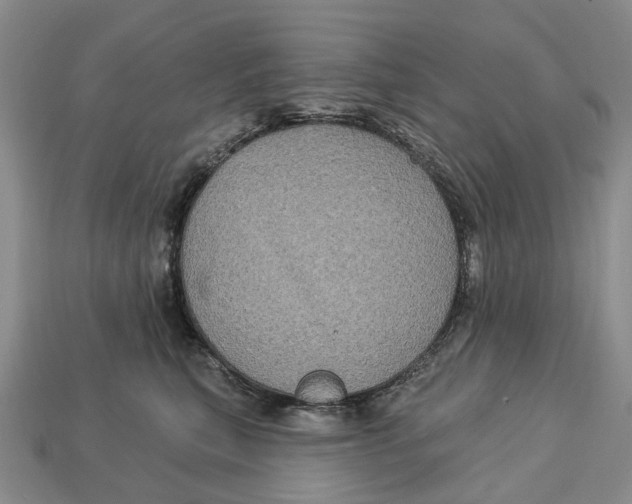 X0000113050567200909241457