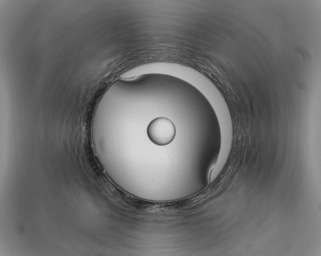 X0000113050568200909241457