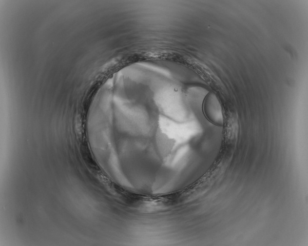 X0000113050569200909241457