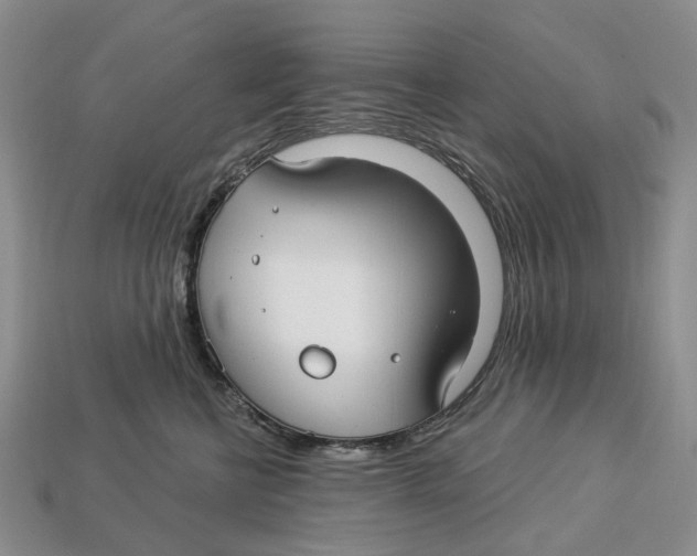 X0000113050570200909241457