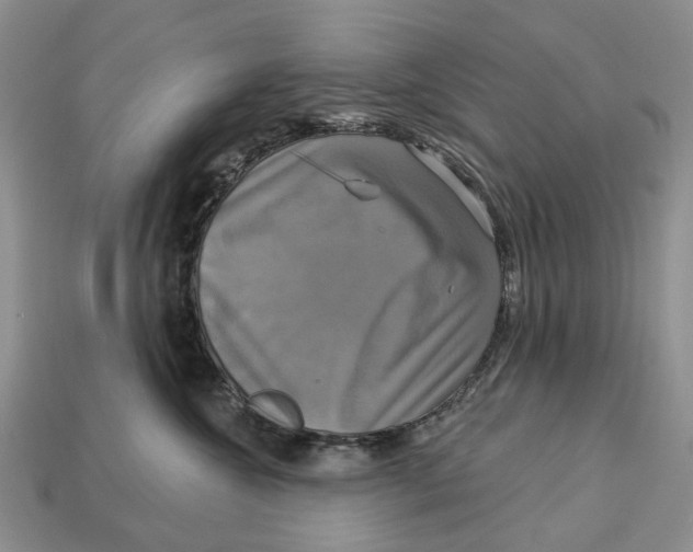 X0000113050572200909241457