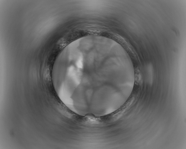 X0000113050573200909241457