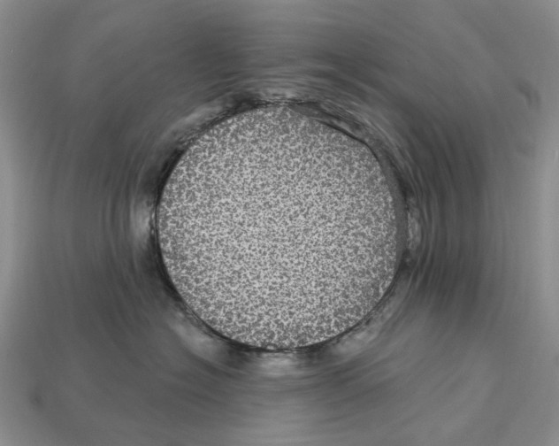 X0000113050574200909241458