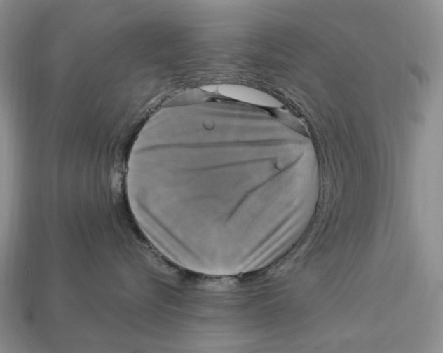 X0000113050576200909241458