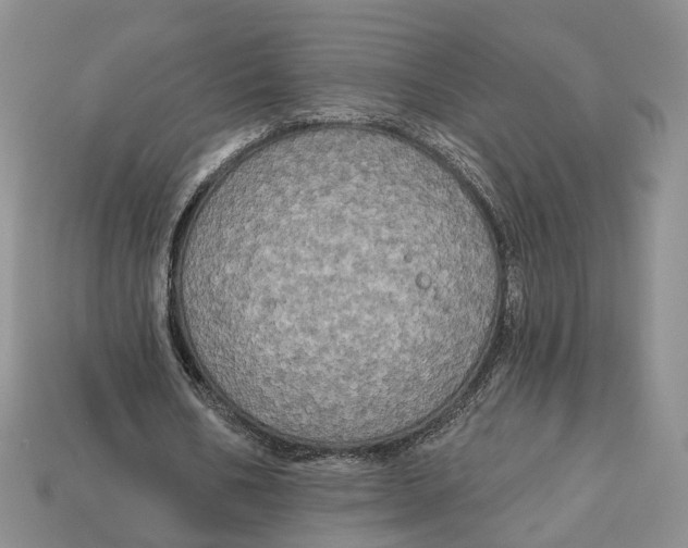 X0000113050578200909241457