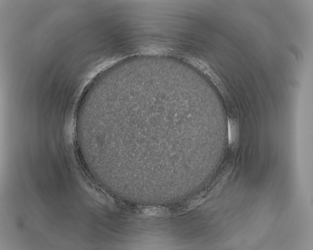 X0000113050579200909241457