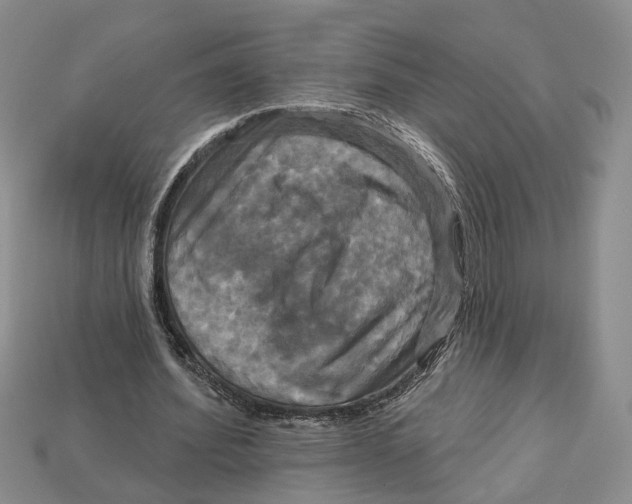 X0000113050580200909241457