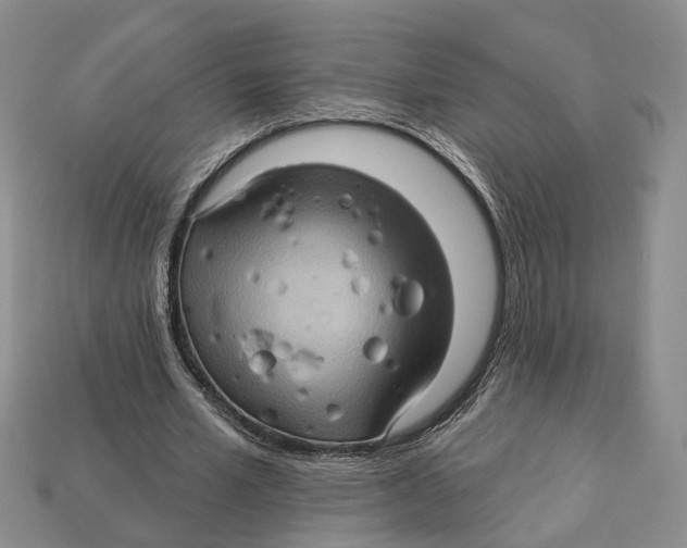X0000113050581200909241457