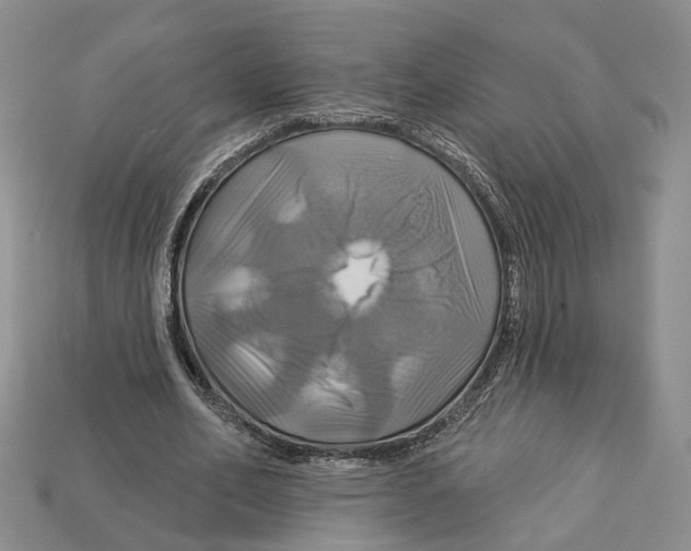 X0000113050582200909241457