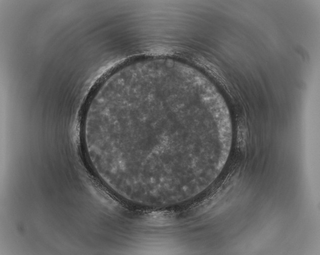 X0000113050584200909241457