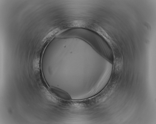 X0000113050585200909241457