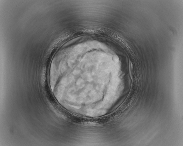 X0000113050586200909241457