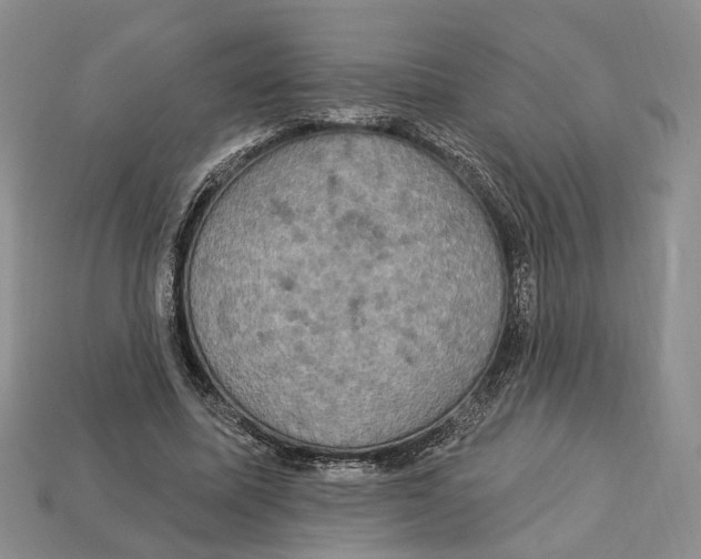 X0000113050587200909241457