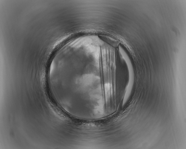 X0000113050588200909241457